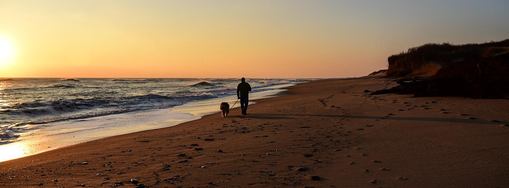 pets-at-cape-cod-national-seashore-cape-cod-national-seashore-u-s