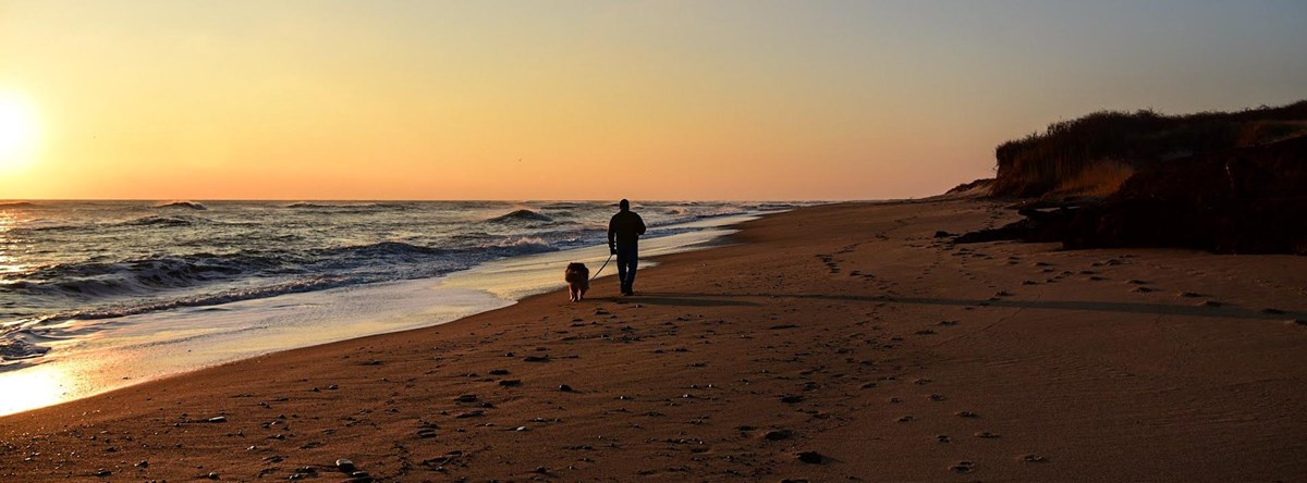 A person walks on the beach at sunrise with a leashed dog