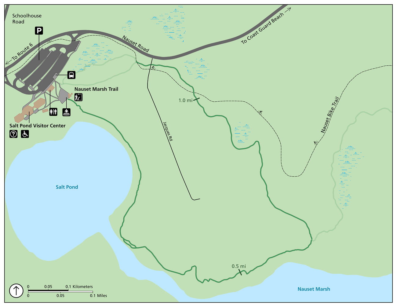 Green trail map with a circular line to show the trail around Nauset Marsh.