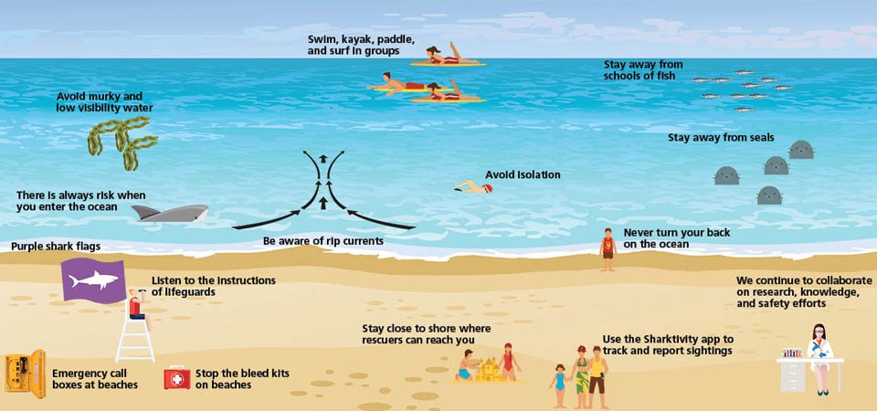 A graphic illustrating the hazards on the beach. (see text below)