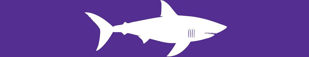 A white shark silhouette on a purple field found on warning flags at life-guarded beaches.