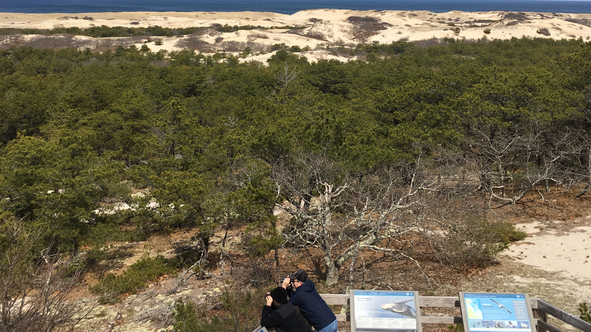 Two visitors look out over the dunes and water