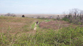 Fort Hill, Eastham Fort Hill, Eastham