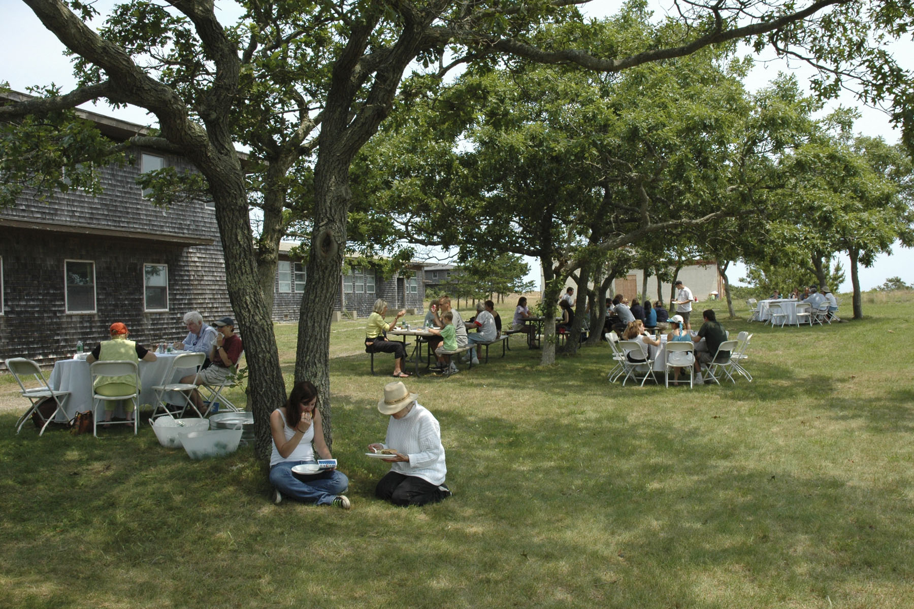 picnic grove picnic grove