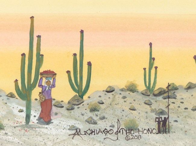 artwork of desert harvest artwork of desert harvest