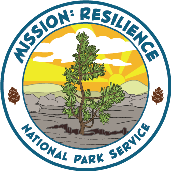 Mission: Resilience logo. Pine tree growing out of a crack in the earth with a bright orange and yellow sunrise in the background.