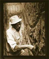 Dr. Emil Haury excavating a Hohokam irrigation canal.