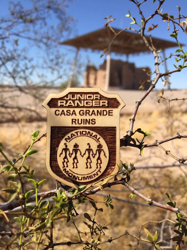 Junior Ranger Badge in Creosote