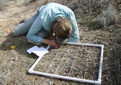 Inventory is being done by using a portable grid and close studies.