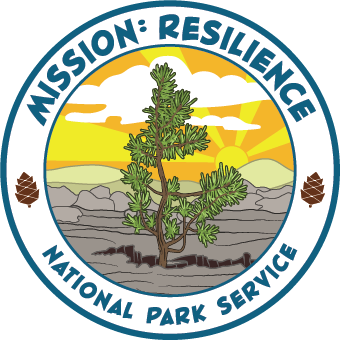 Mission: Resilience Logo Mission: Resilience Logo