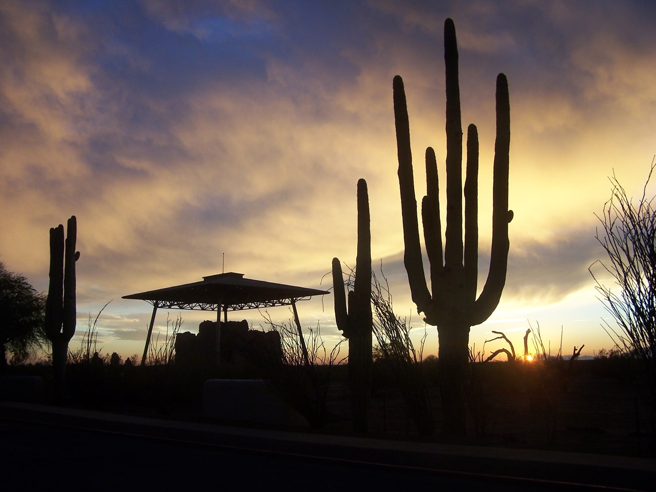 sunset at Casa Grande Ruins with saguaro cactus silhouettes framing a silhouette of the Great House