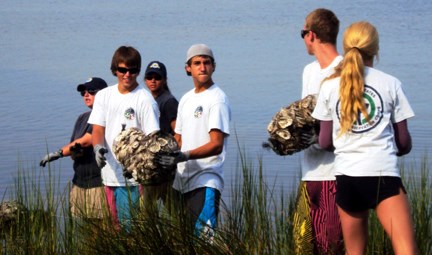 Members of the Youth Conservation Corps work on restoring an oyster sill.