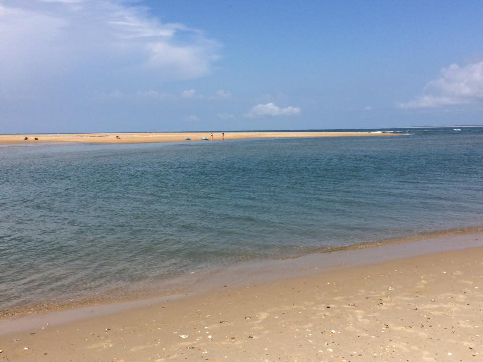 Photo of Shelly Island in July 2017.