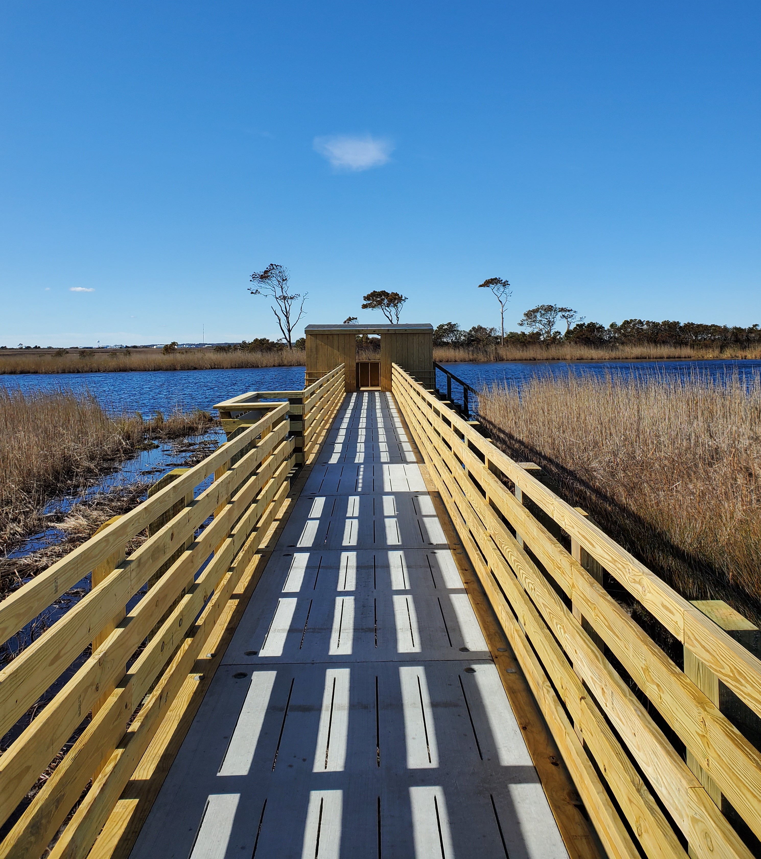 Bodie Island Marsh Blind.