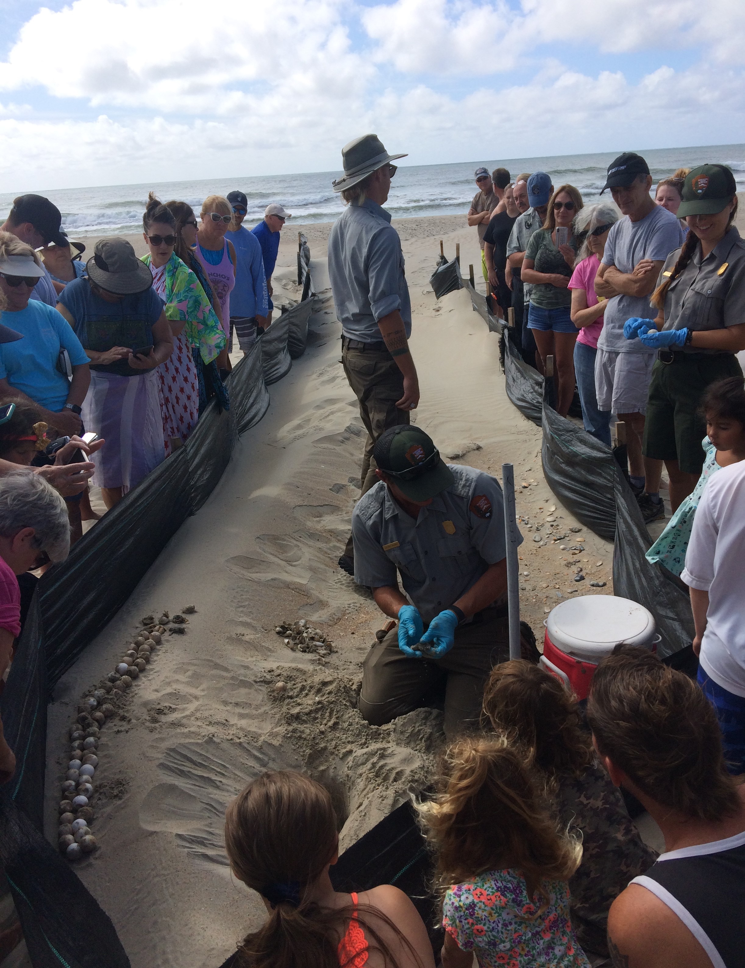 Ocracoke sea turtle nest excavation crowd on August 26, 2019