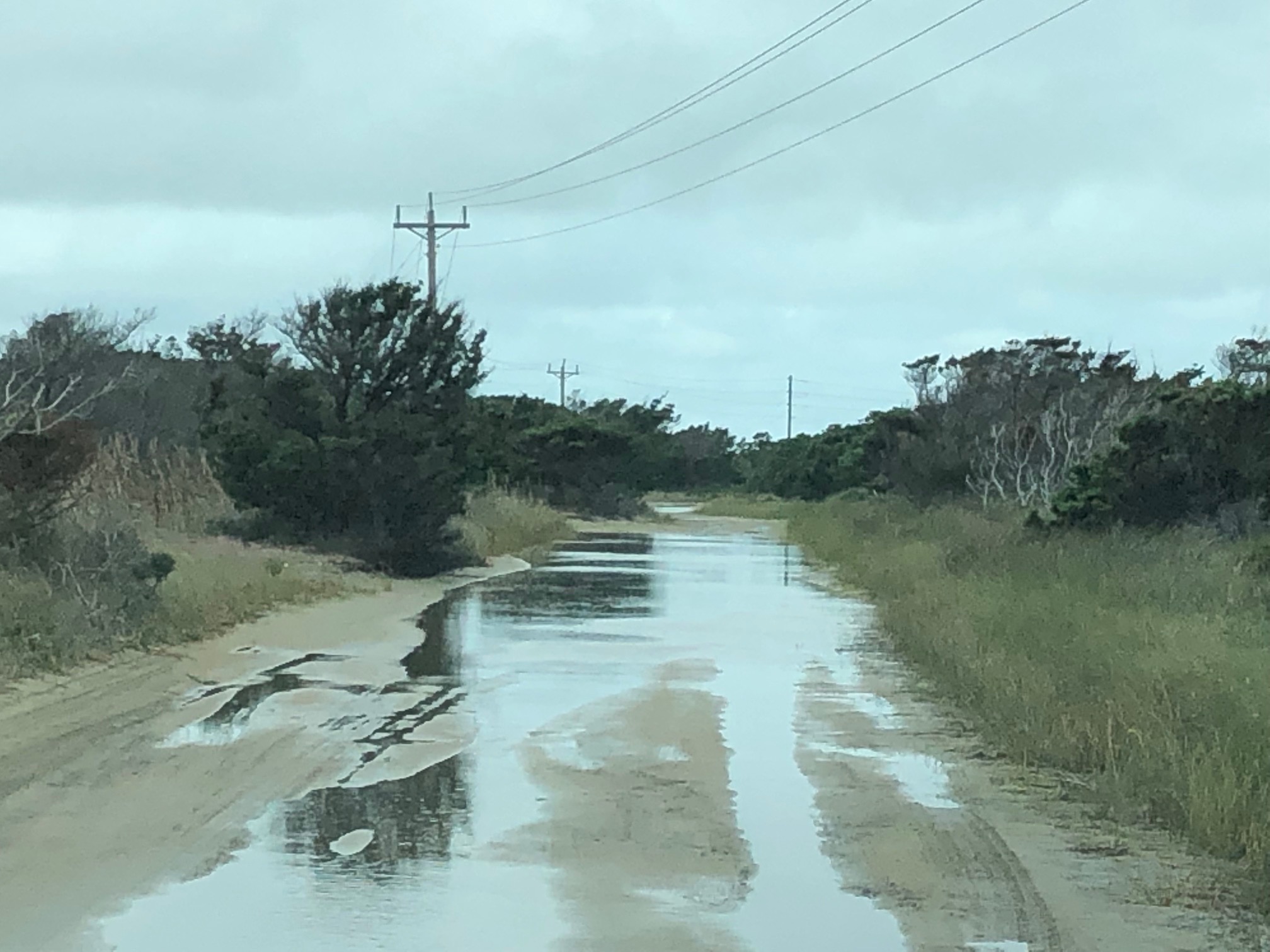 Standing water on Pole Road.