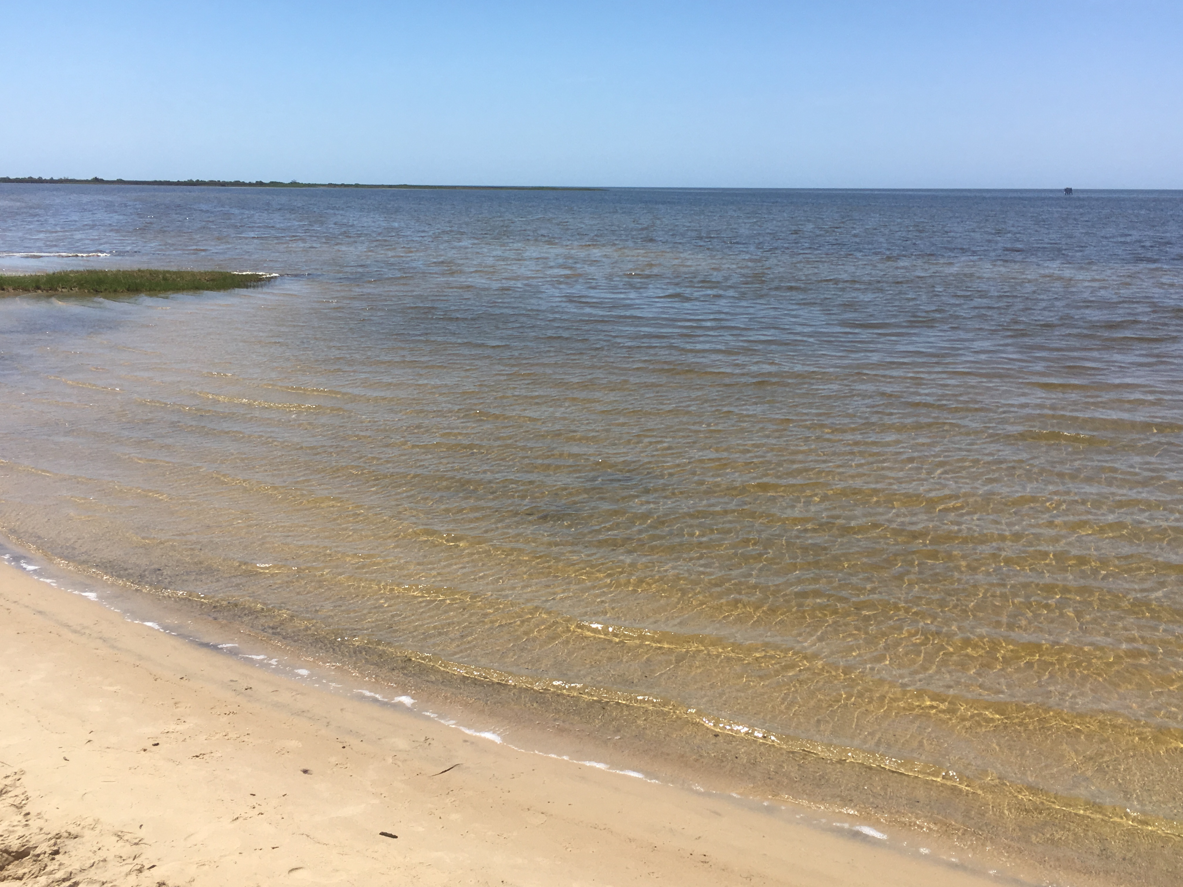 View of the Pamlico Sound from the Salvo Day Use Area.