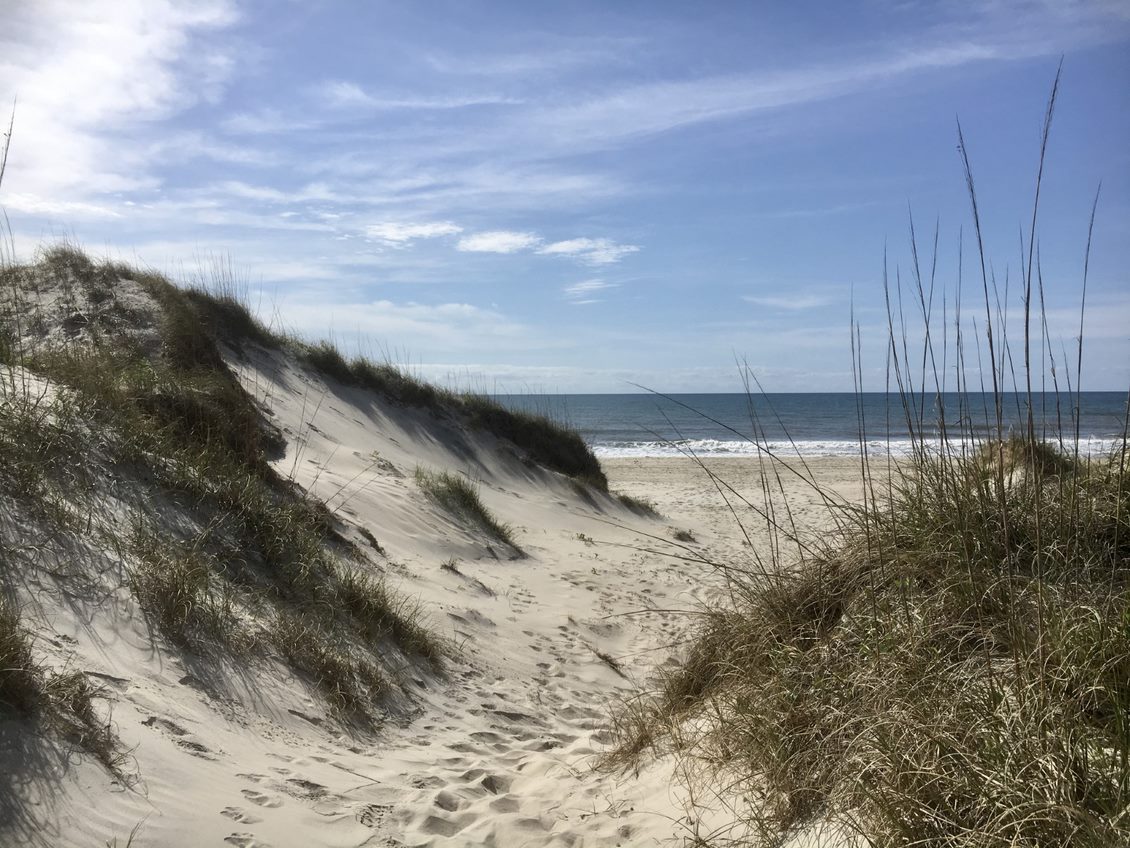 Social trail from the Ocracoke Campground to an ocean-facing beach. Social trail through a dune looking toward an ocean-facing beach.
