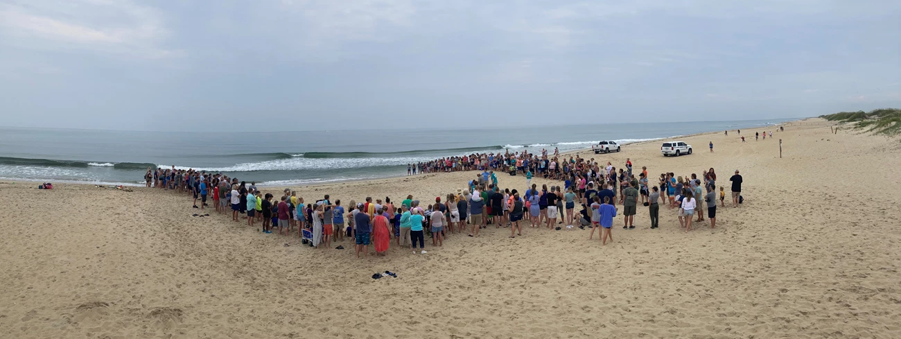 Nest Excavation Distance view of group of people gathered on the beach.