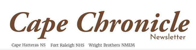 Logo for the Cape Chronicle newsletter.