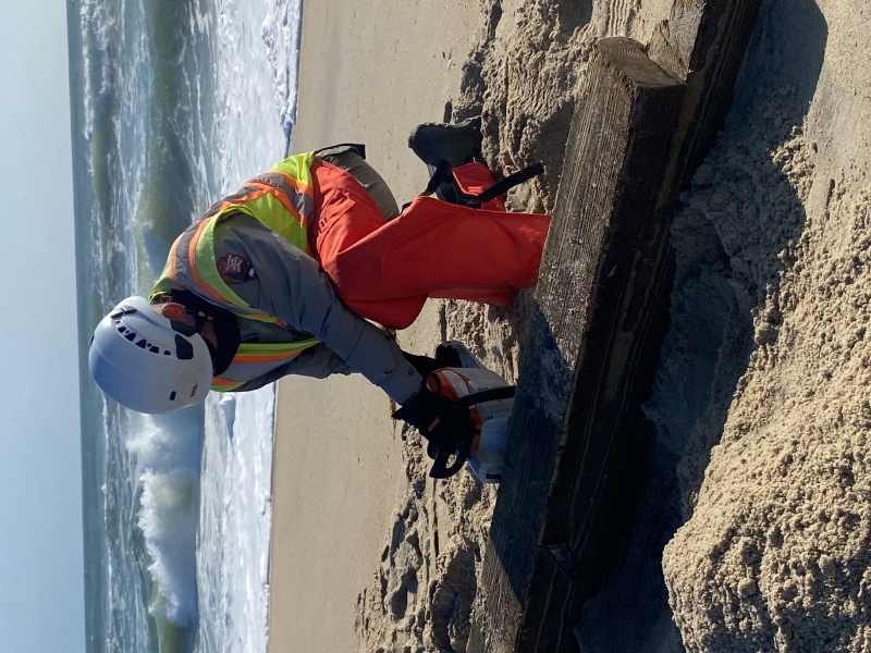 Cape Hatteras National Seashore employee cuts large housing piling with chainsaw. Image of a National Park Service ranger cutting a house piling on the beach.