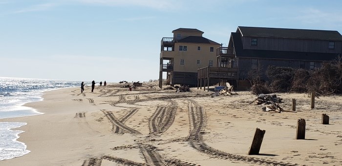 Collection of beach debris above the high tide line.