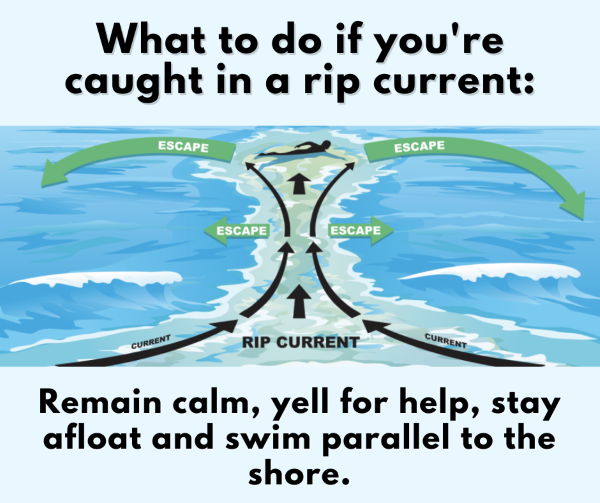 Rip Current Safety Graphic Illustration of a swimmer safety exiting a rip current.