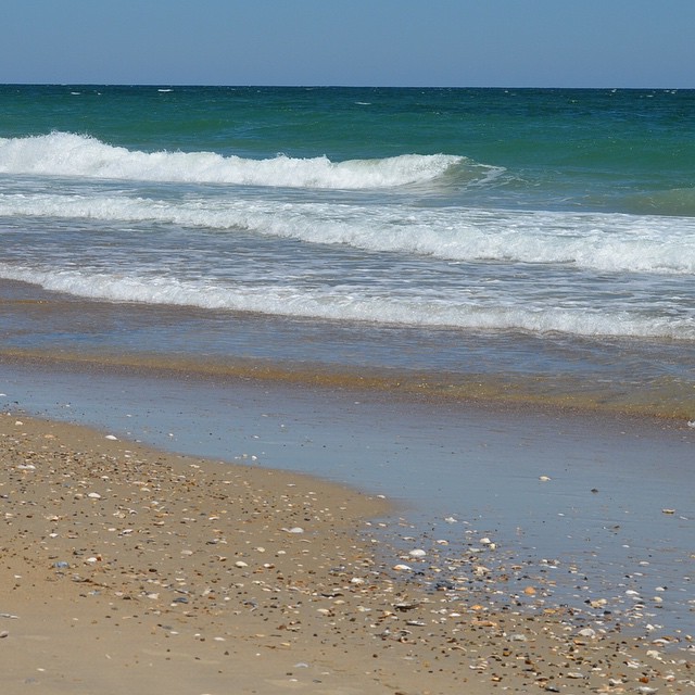 Ocean waves and shells on a beach at Cape Hatteras National Seashore