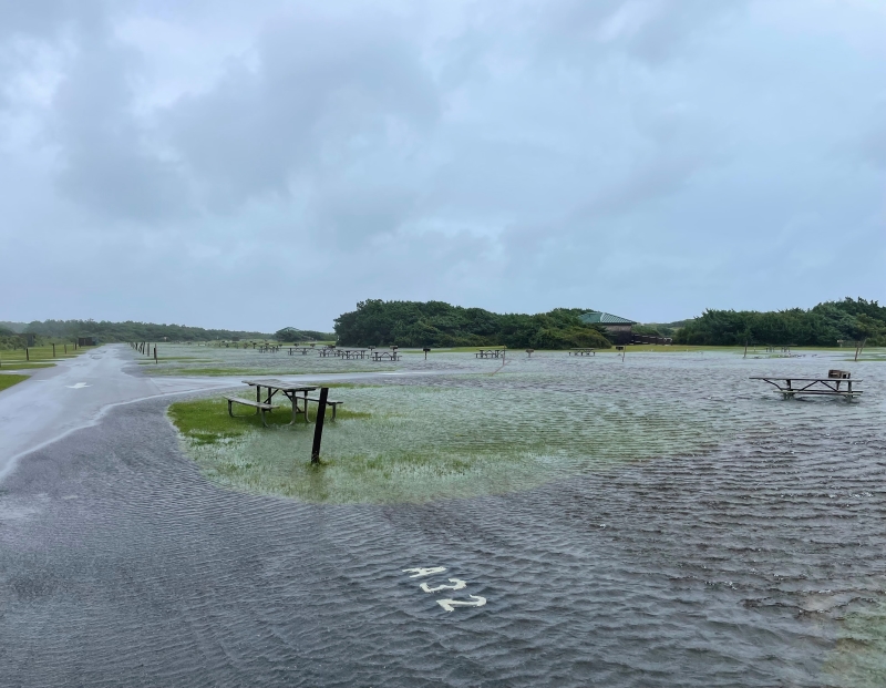 Photo of standing water in the Ocracoke Campground. Photo of flooded camp sites at Ocracoke Campground.