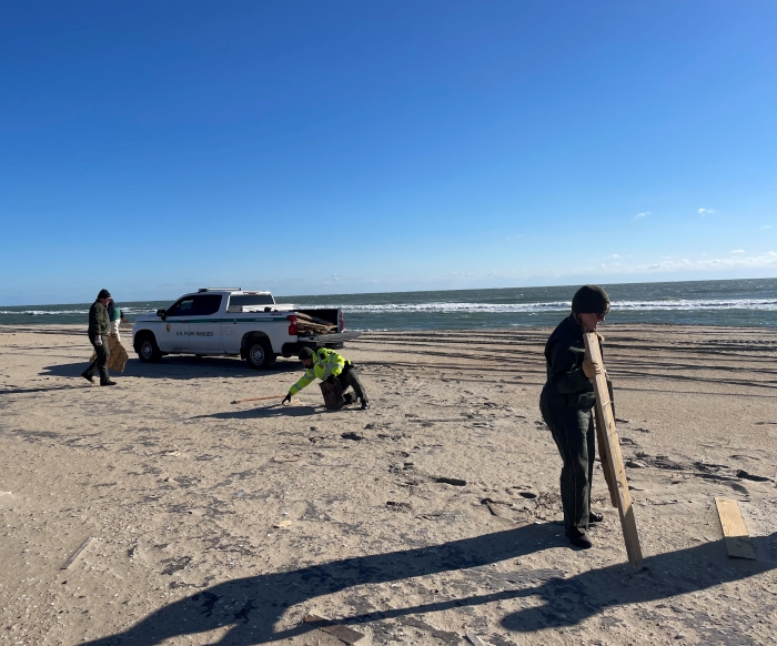 National Park Service employees collect debris from the beach before loading into vehicle for disposal.