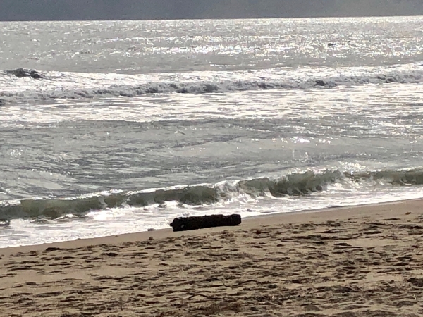 Photo of a potential unexploded ordnance on beach near ocean.