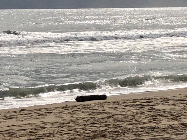 Potential UXO found on beach Photo of a potential unexploded ordnance on beach near ocean.