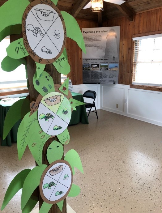 Sea turtle activity items and educational panel inside Ocracoke Island Discovery Center Sea turtle activity items and educational panel inside Ocracoke Island Discovery Center.