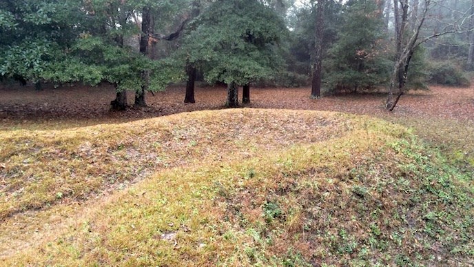 Part of the earthwork visible in the woods of Fort Raleigh National Historic Site Part of the earthwork visible in the woods of Fort Raleigh National Historic Site