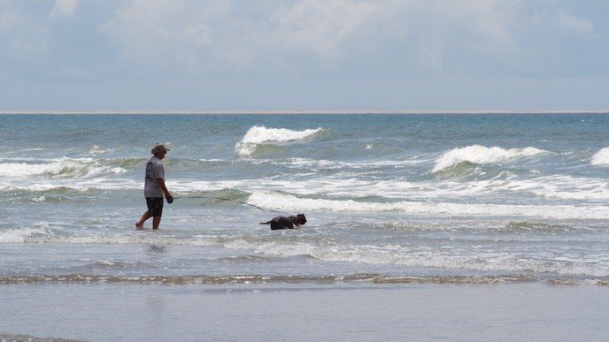 Visitor in the surf with their dog Visitor in the surf with their dog