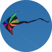 Kite flying in the wind