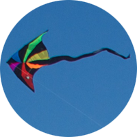 Kite flying in the wind