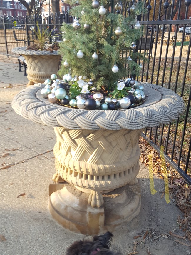Evergreen Plants in Urn Evergreen Plants in Urn