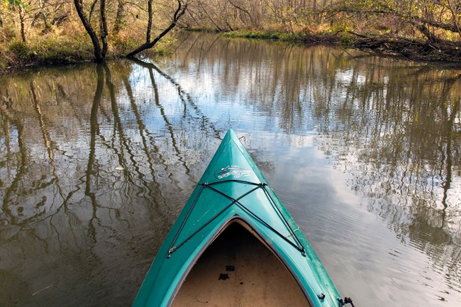 View from the seat of a kayak on a creek.
