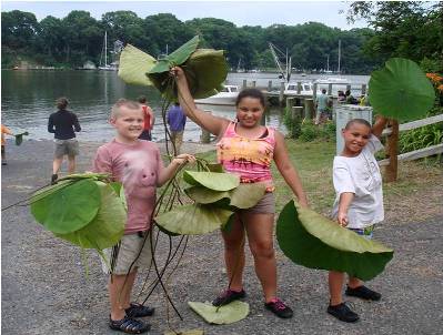 Kids with lotus leaves