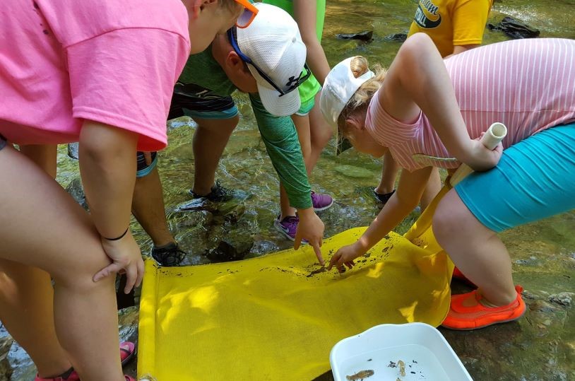 Children using a net in a stream.