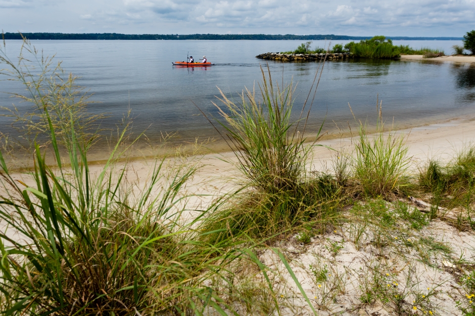 A sandy, grassy shoreline with two kayakers.