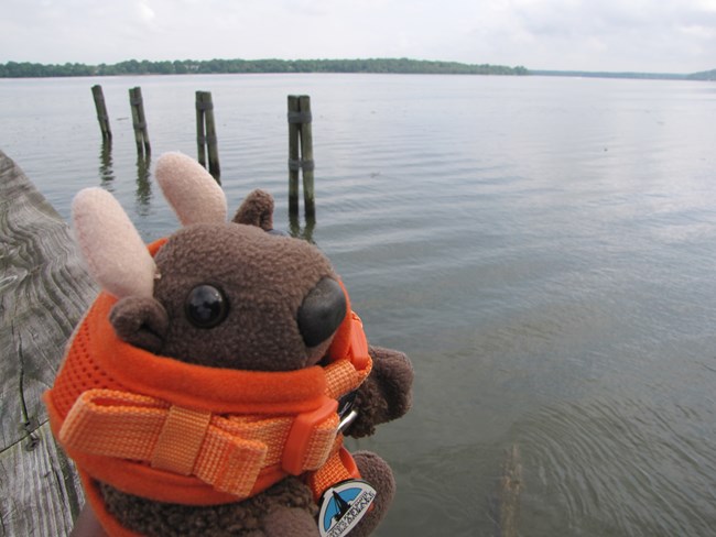 A stuffed animal bison named Buddy Bison demonstrates boating safety by wearing a life jacket on a fishing pier.