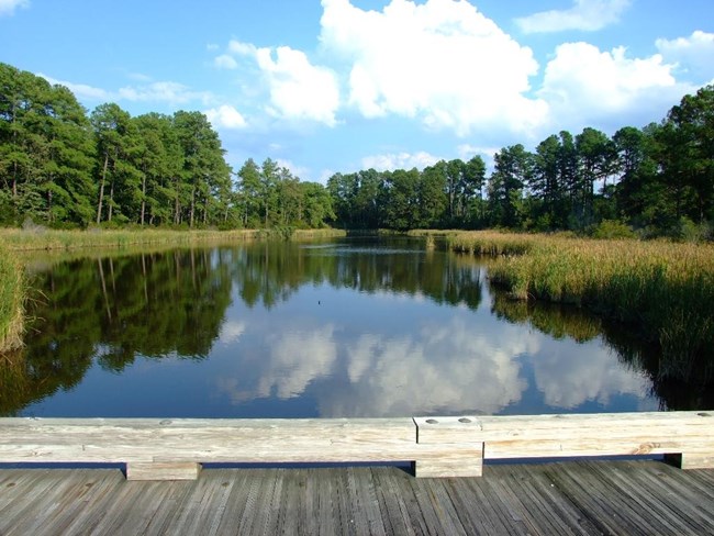 View from the loop drive on Jamestown Island.