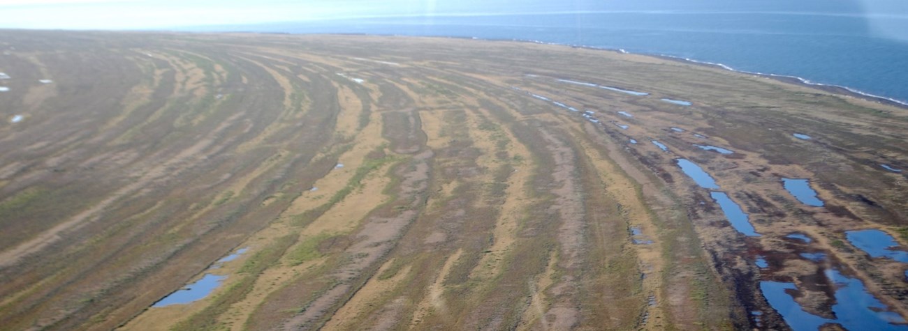 a grassy shoreline extends out to the ocean in rings of green, yellow, and brown dotted with oblong lakes.