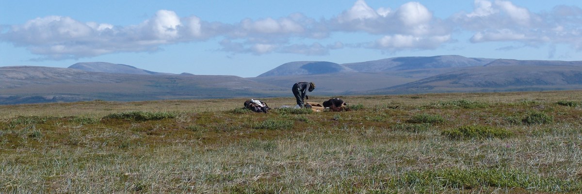 Testing and recording an archeological feature Testing and recording an archeological feature