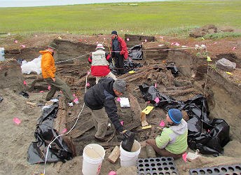 Scientists unearth house timbers in a rectangular dig site