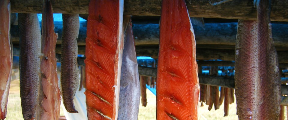 red salmon drying on a rack