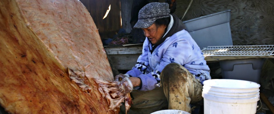 woman working on a seal skin