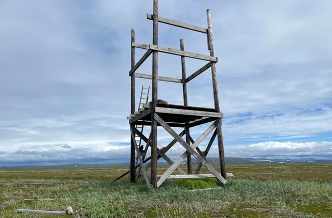 a wooden scaffold-like structure with a ladder to an elevated platform sits in a grassy field.
